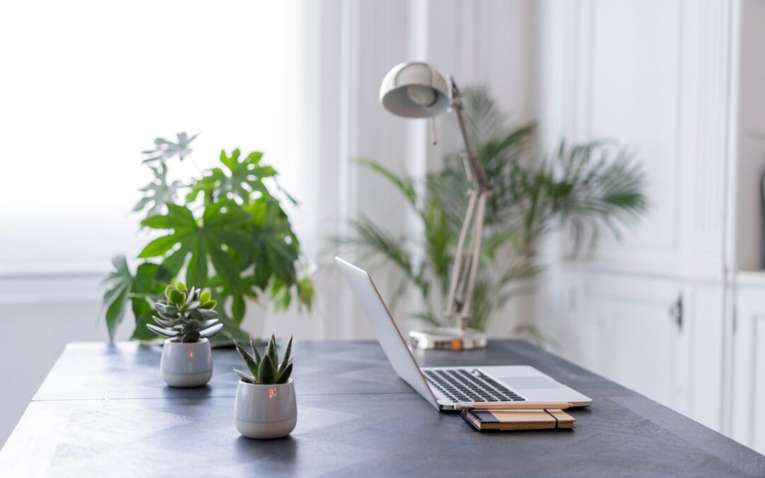 Professional – Recovery Professional Development