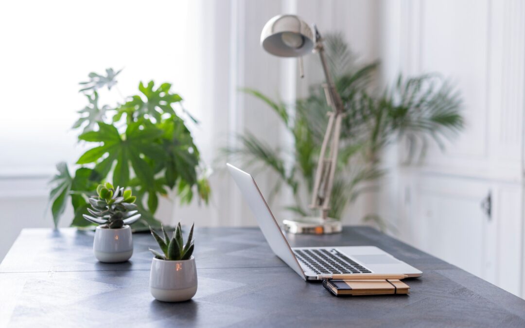 Family & Allies – Supporting Loved Ones